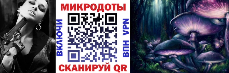 Галлюциногенные грибы Cubensis  Черногорск 
