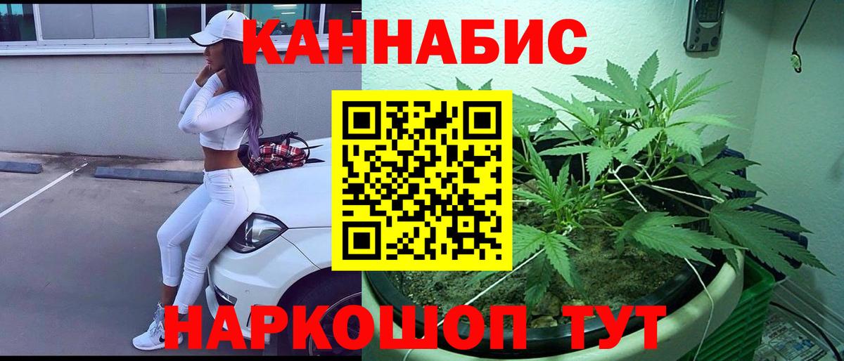 Марихуана индика  Вход с VPN  Черногорск  Шишки марихуана Ganja  Шишки марихуана LSD WEED 
