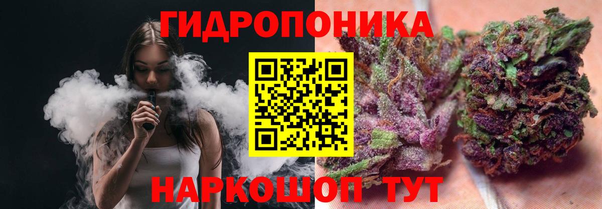 Каннабис конопля Черногорск